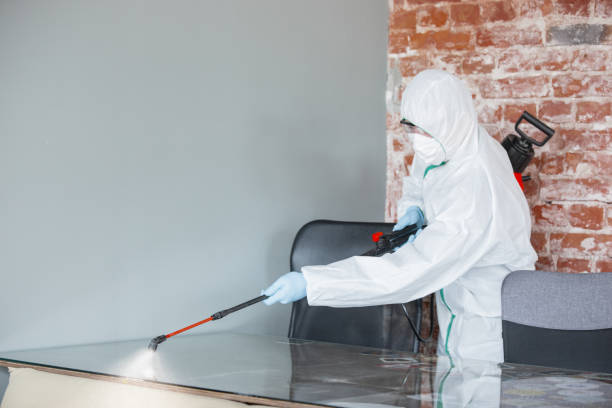 Mold Documentation for Insurance Claims in Zillah, WA